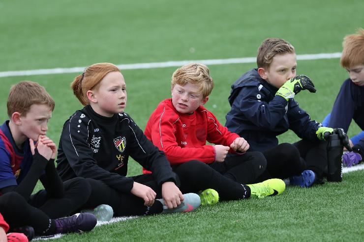 klik hier voor de originele foto (292kB - 1600x1067)